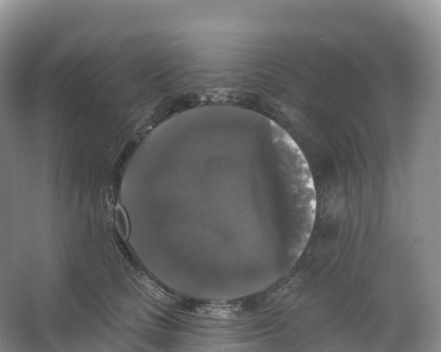 X0000066970661200604142142