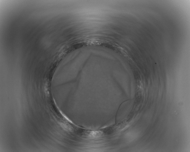 X0000066970663200604142142