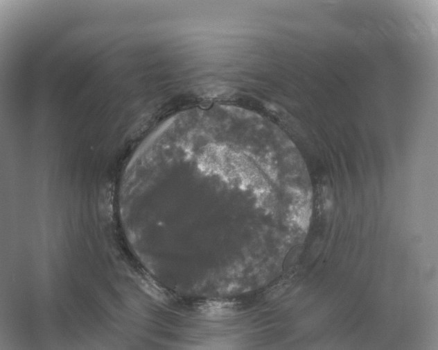 X0000066970664200604142142