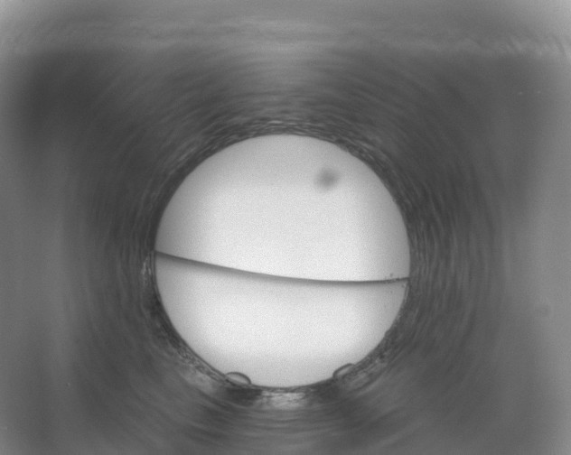 X0000066970665200604142142