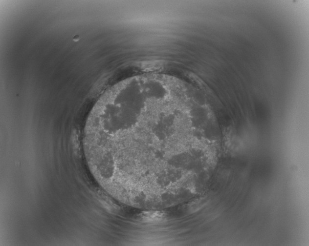 X0000066970667200604142142