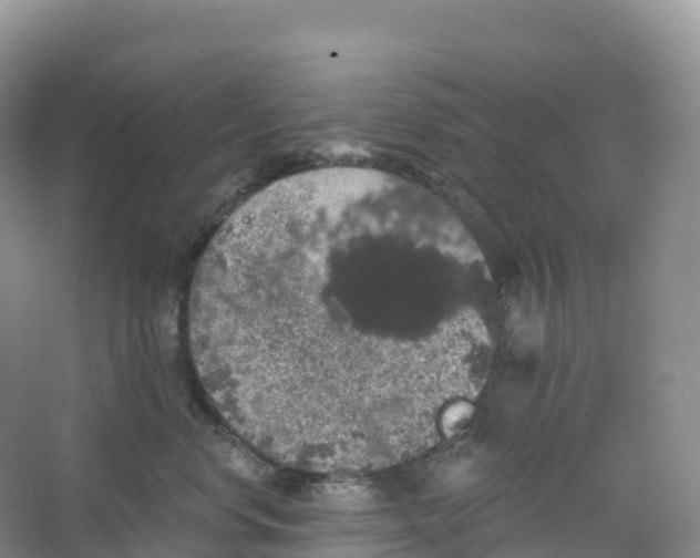 X0000066970668200604142142