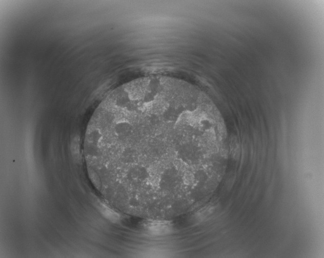 X0000066970670200604142142