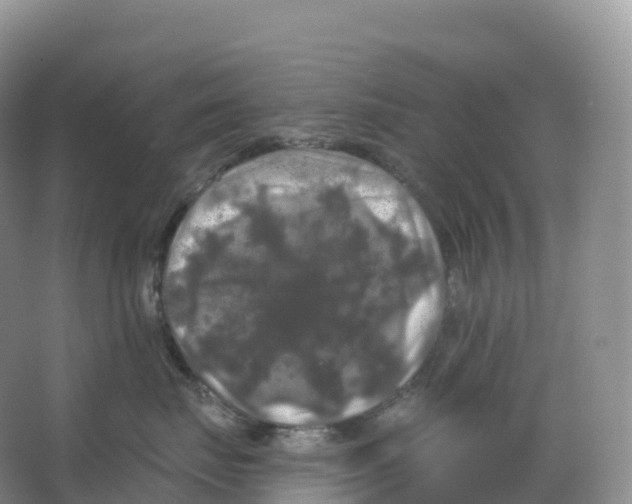 X0000066970671200604142142