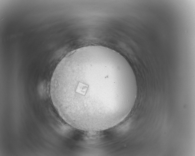 X0000066970672200604142142