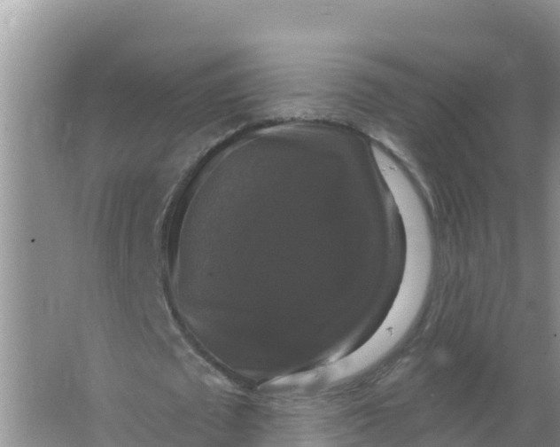 X0000066970673200604142141