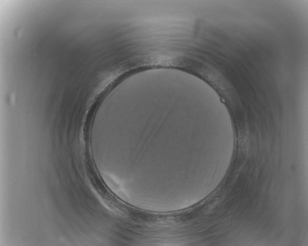 X0000066970674200604142141