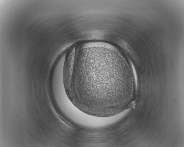 X0000066970677200604142141