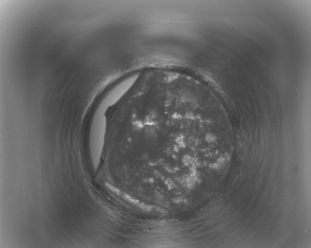 X0000066970679200604142141