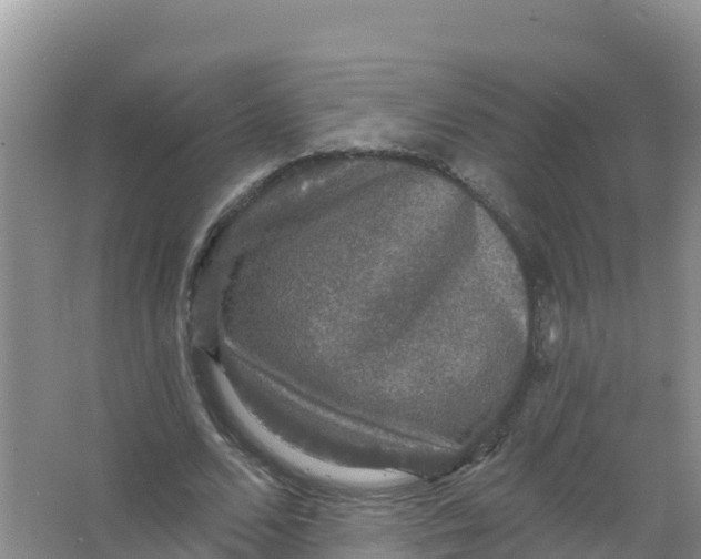 X0000066970680200604142141