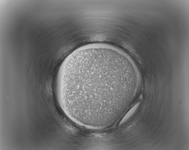 X0000066970681200604142141