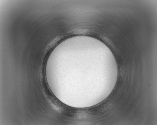 X0000066970682200604142141