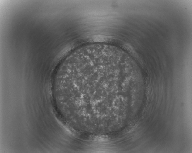 X0000066970683200604142141