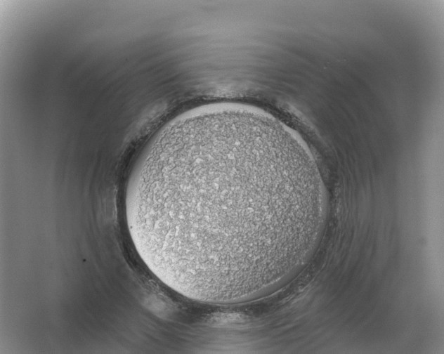 X0000066970685200604142141