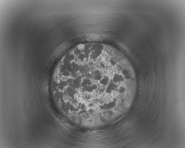 X0000066970687200604142141