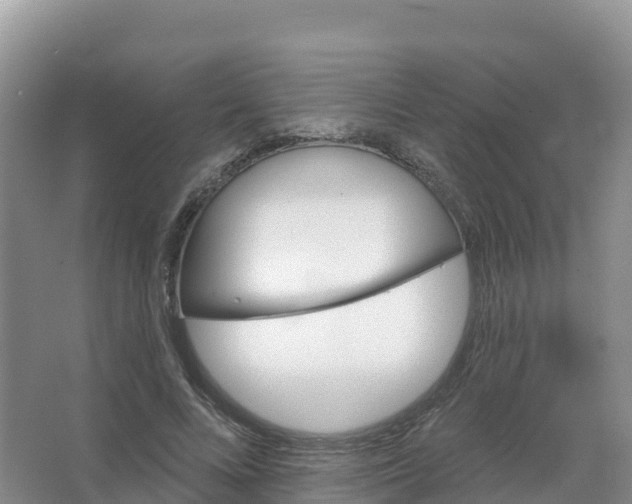 X0000066970688200604142141