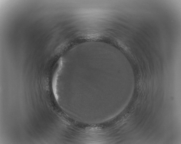 X0000066970689200604142141