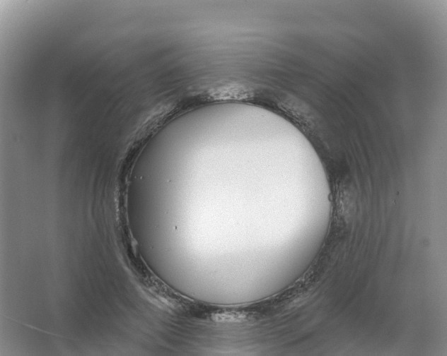 X0000066970690200604142141