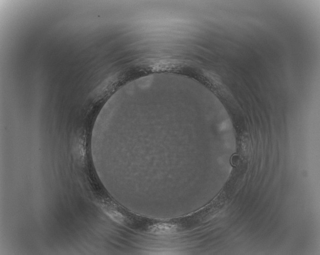 X0000066970691200604142141