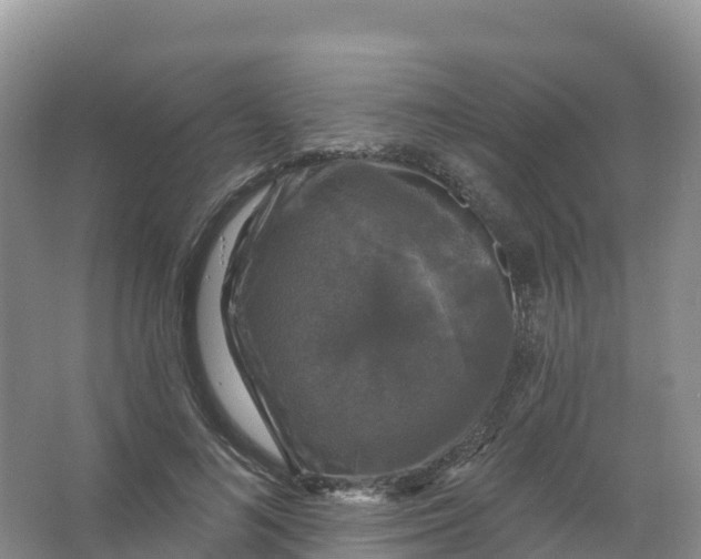 X0000066970692200604142141