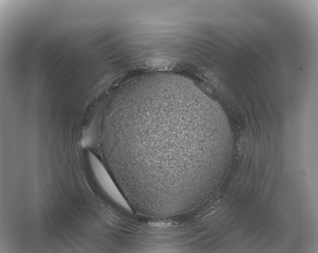 X0000066970693200604142141