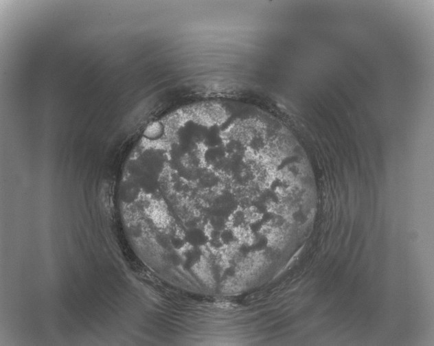 X0000066970695200604142141