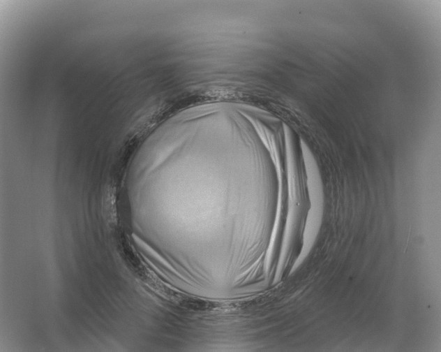 X0000066970696200604142141