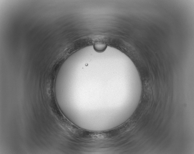 X0000066970698200604142141