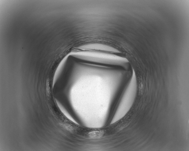 X0000066970700200604142141