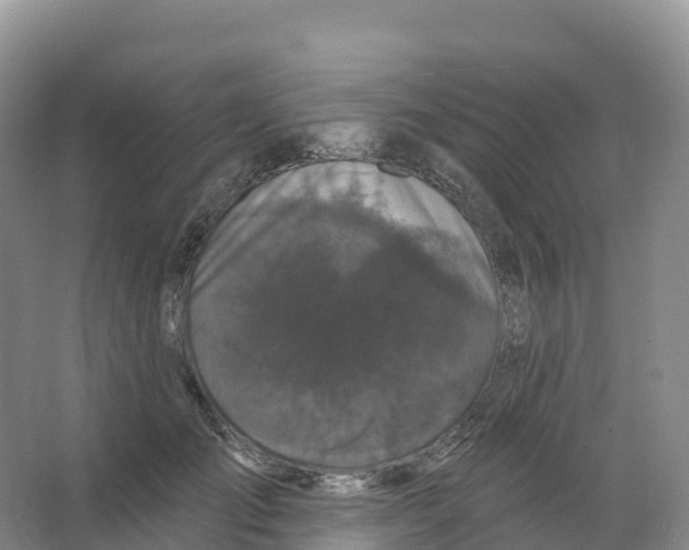 X0000066970701200604142141