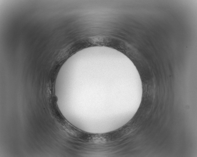 X0000066970702200604142141