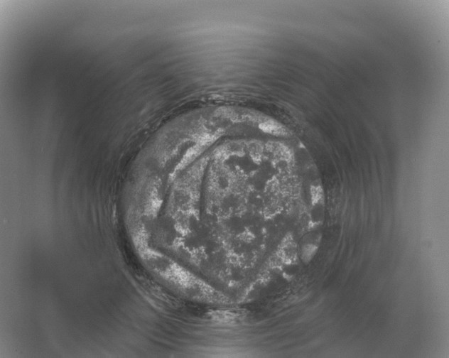 X0000066970703200604142141