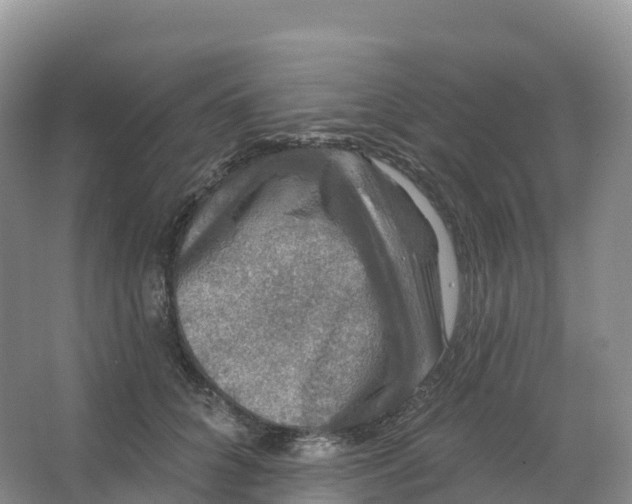 X0000066970704200604142141