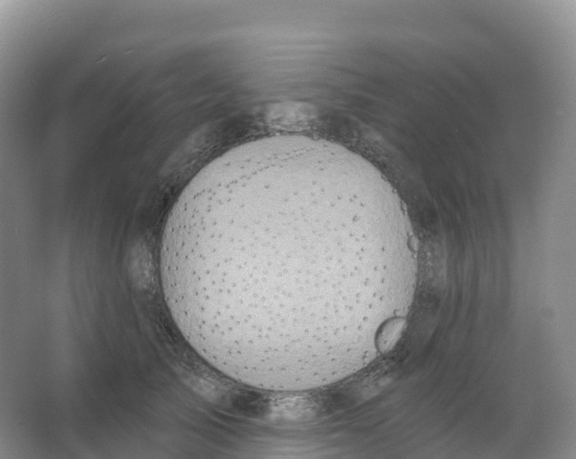 X0000066970705200604142141