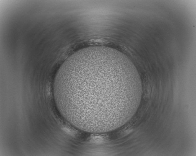 X0000066970706200604142141