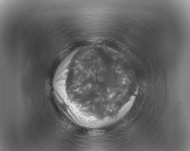 X0000066970707200604142141