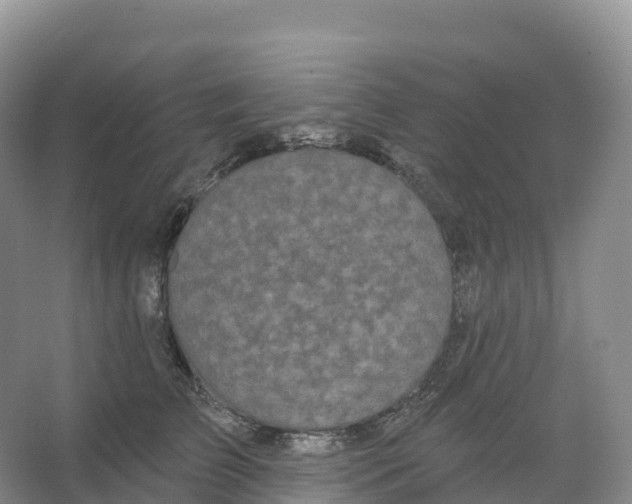 X0000066970709200604142141