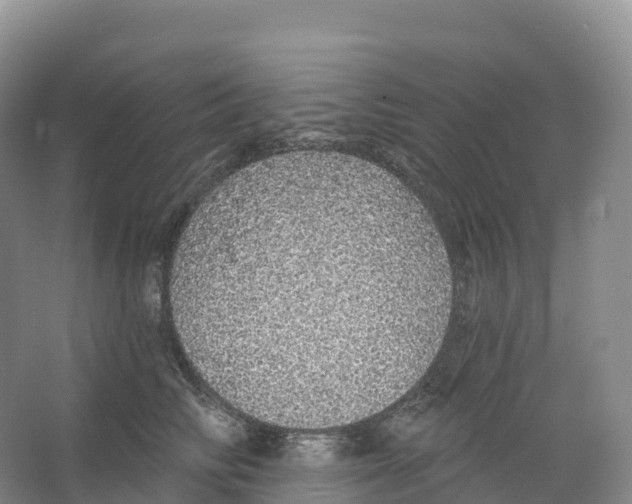 X0000066970710200604142141