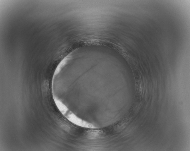 X0000066970711200604142141