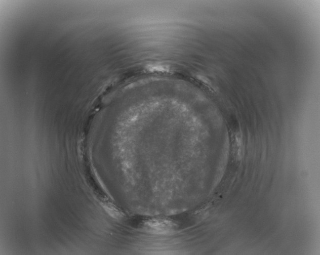 X0000066970712200604142141