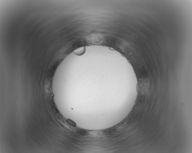 X0000066970713200604142141