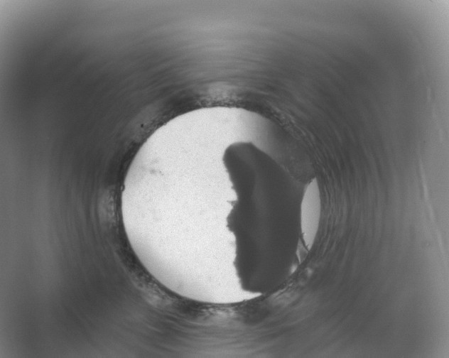 X0000066970715200604142141