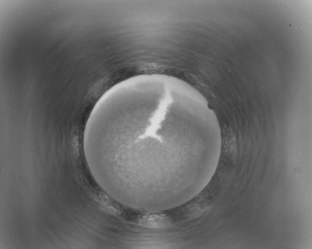 X0000066970716200604142141