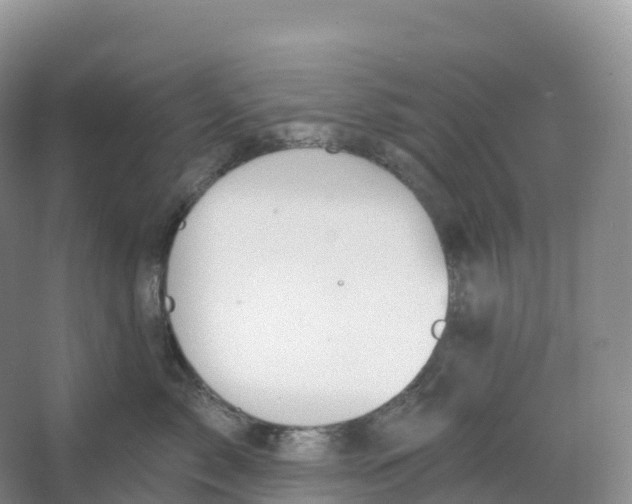 X0000066970717200604142141