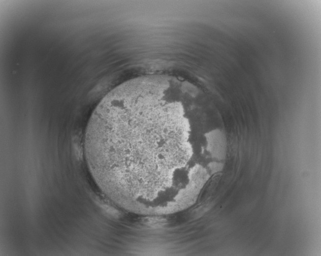 X0000066970719200604142141