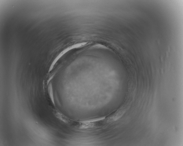 X0000066970720200604142141