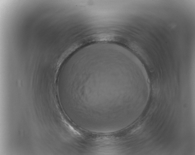 X0000066970721200604142140