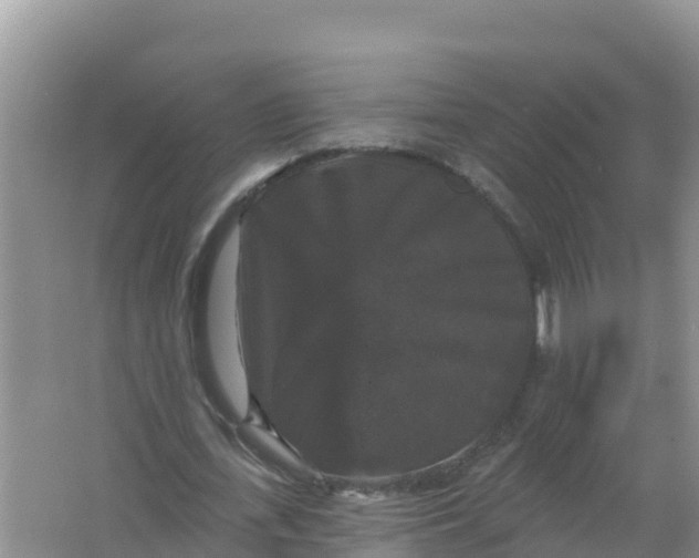 X0000066970723200604142140