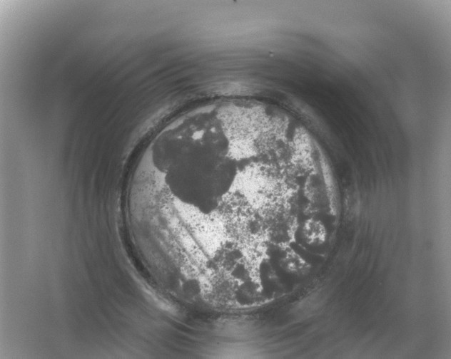 X0000066970725200604142140