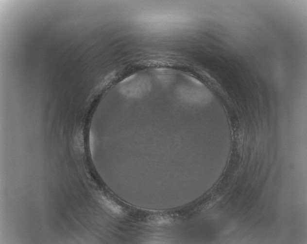 X0000066970729200604142140